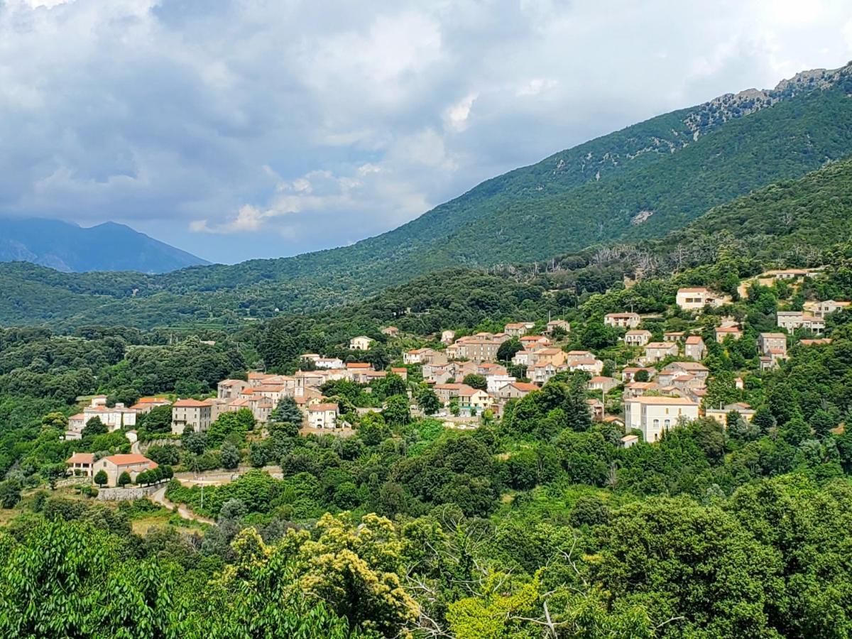 2a Apartment Ucciani
